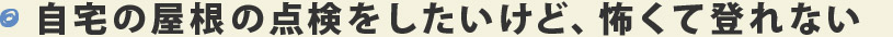 自宅の屋根の点検をしたいけど、怖くて登れない 